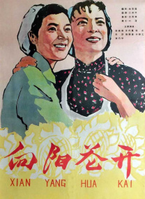 徐波美首尔第一次体验2
